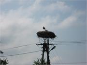 img_8193